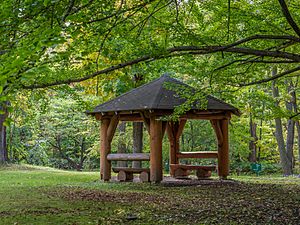 Sapporo Botanic Garden-20091014-RM-105621