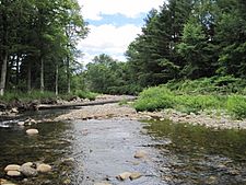 Saxtons River in Vermont