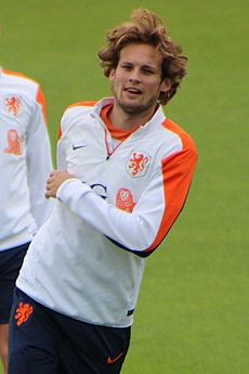 Sneijder Blind (15300328879) crop