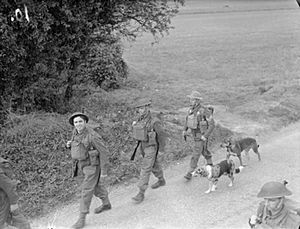 The British Army in the United Kingdom 1939-45 H14688