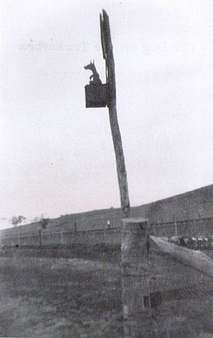 Tuckerbox 1926