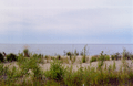 View of Slave Lake Shoreline