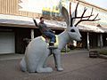 Wall drug jackalope