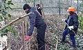 Weaving a hurdle deadhedge