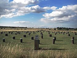 Woodhenge, Wiltshire