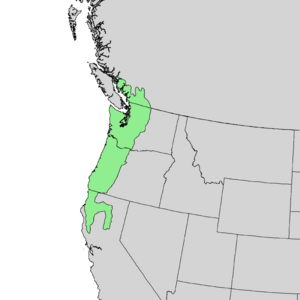 Acer circinatum range map.png