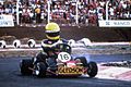 Ayrton Senna Karting