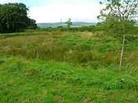 Baney Hole at Windyhouse