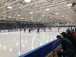 Bloomington ice garden