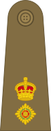 British Army (1920-1953) OF-4.svg