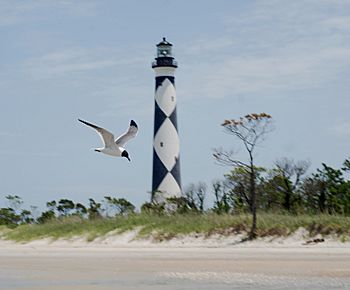 Cape Lookout Lighthouse - 2013-06 - 10.JPG