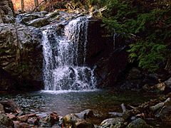 Cascade Falls Trail