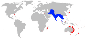 Common Mynah distribution map.png