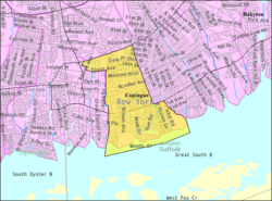 U.S. Census map