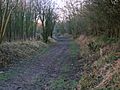 Corsehill old railway 1