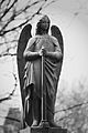 Dalry Angel (8577788417)