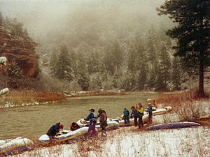 Dvorak Sp1995 RioChama NM.jpg