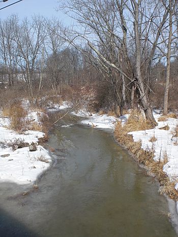 East Branch Chillisquaque Creek.JPG