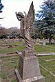 East Sheen Cemetery, Angel, William Robinson (Chung Ling Soo) grave