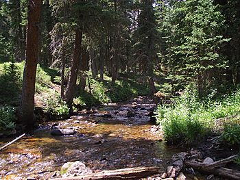 Fall River in RMNP.jpg