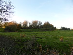 Folkingham castle (geograph 3763852)