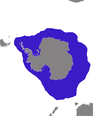 Hydrurga leptonyx distribution.png