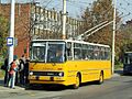 Ikarus260T.jpg