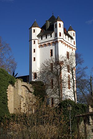 Kurfürstliche Burg Eltville