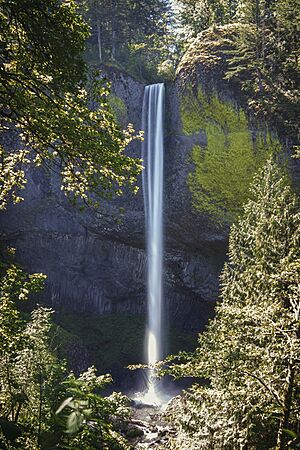 Latourell Falls (2017-05-28).jpg