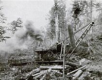 Little-river-lumber-company-skidder-tn1