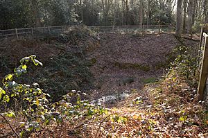 Little Heath Pit 2.JPG