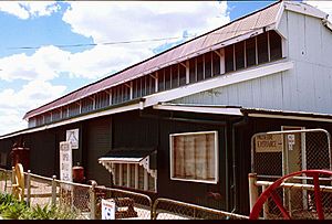 Longreach Powerhouse (former) (1998).jpg