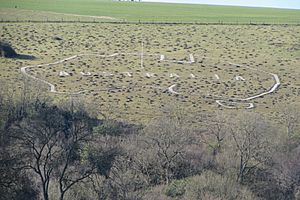 Map of Australia downland carving