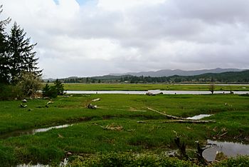 Naselle River seen from US 101.JPG