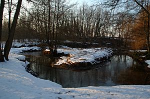 Pavia-Vernavola Park