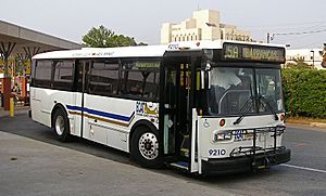 Pensacola ECAT bus