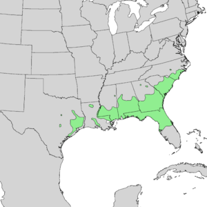 Prunus caroliniana range map 2.png