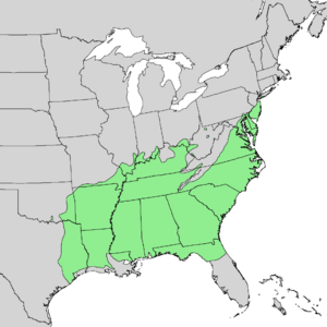 Quercus falcata range map 1.png