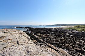 Reid State Park south view.JPG