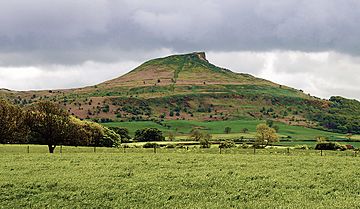 Roseberry topping north side.jpg