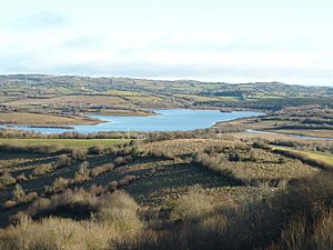 Ross Lough