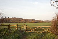 Runnymede-meadow-eghamend