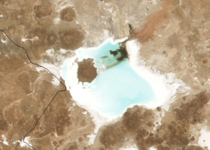 Salar de coipasa