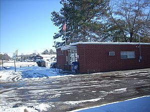 A view of Shannon after a rare snowfall