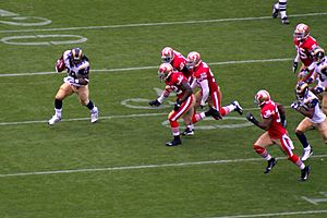 Steven Jackson rushing