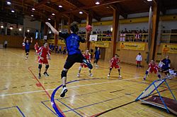 Tchoukball vimi