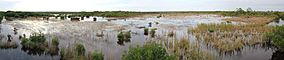 Ten Thousand Islands National Wildlife Refuge Panorama, Florida 2014.jpg