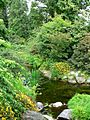 UBC Botanical Garden water