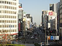 尾張一宮駅 - panoramio (4)