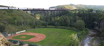 12 foot davis ball park